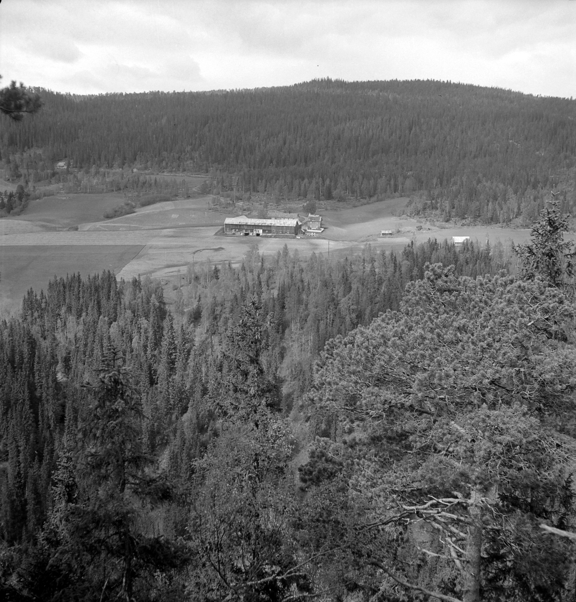 Nygårdsvollen ved Hommelvik