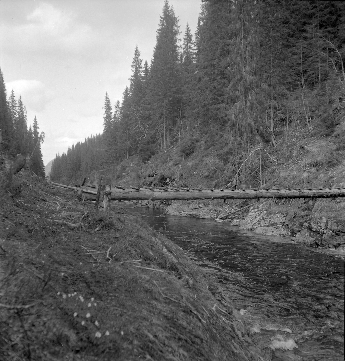 Nygårdsvollen ved Hommelvik