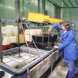 Group no. 64-65-00-00 Picture no. 539149..Støping av tank va