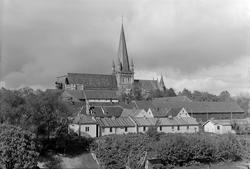 Marinen med Nidarosdomen og Erkebispegården i bakgrunnen
