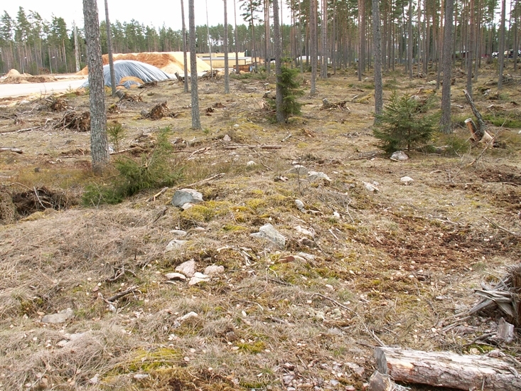 Stensträng
Foto av stensträng, som delvis begränsar området med fossil åkermark i väster.
Raä 96 1 a, 2006-04-21, reg i FMIS