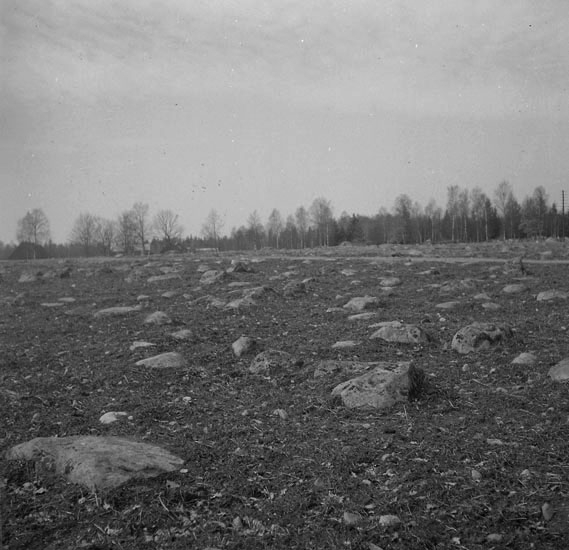 Stenbunden åker i Linneryds socken.