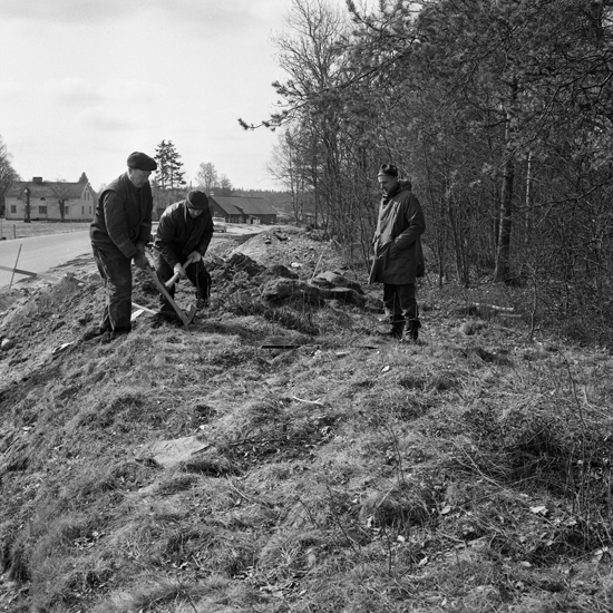 Össlöv, Berga, 1966. Undersökning av gravfält.