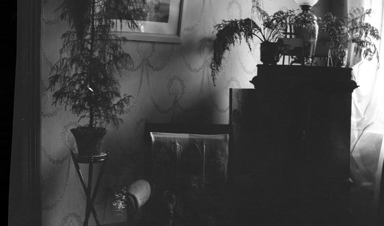 Foto av ett rum med en karmstol och ett skåp med växter på samt en tavla som hänger på väggen.