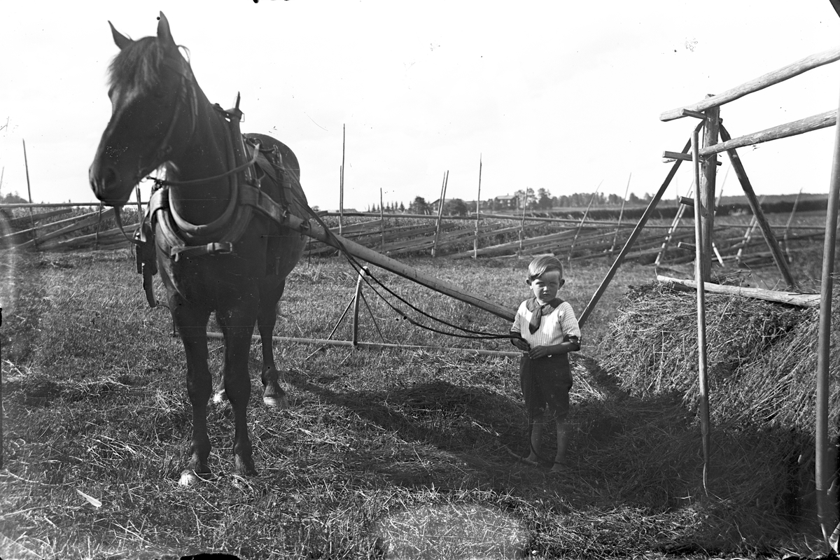 Barn och häst vid höbärgning.
