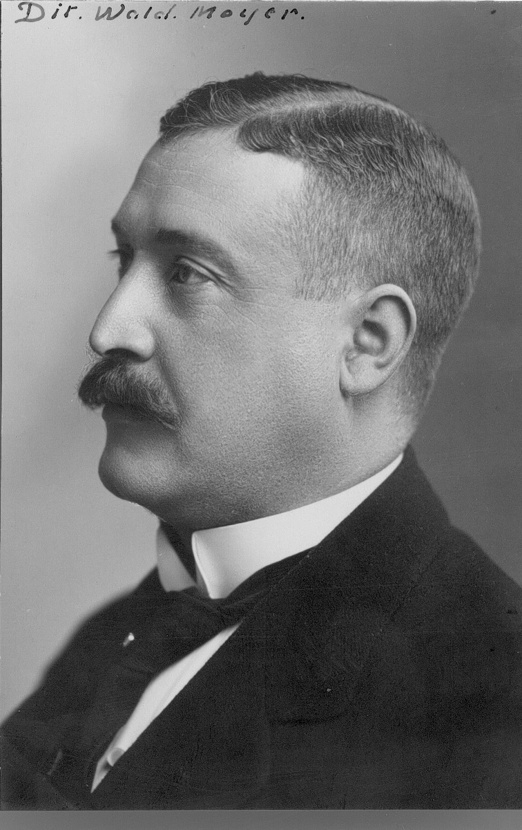 Direktör Waldemar Meyer.