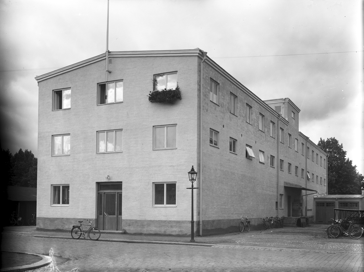 J. E. Ohlséns Enke AB. Trädgårdscentralen. Fröhandel på Drottninggatan ...