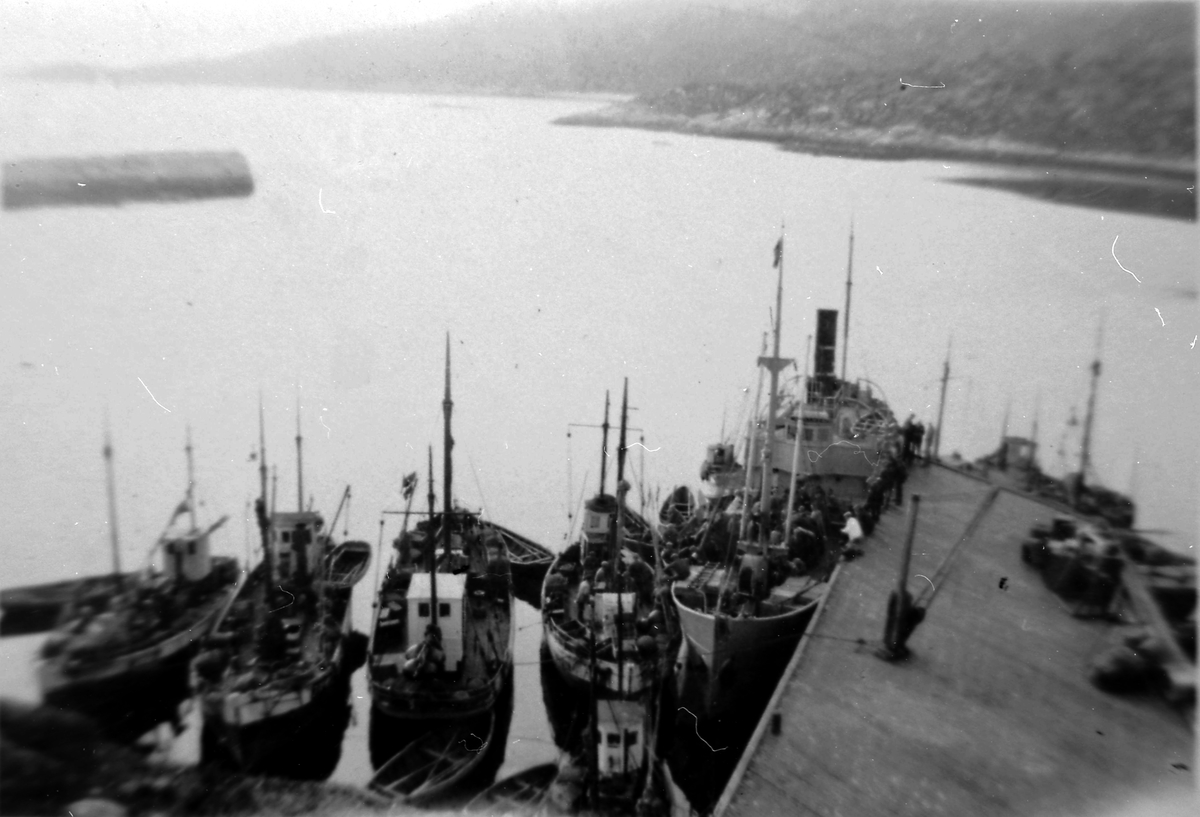 Båter på Skrolsvik havn.