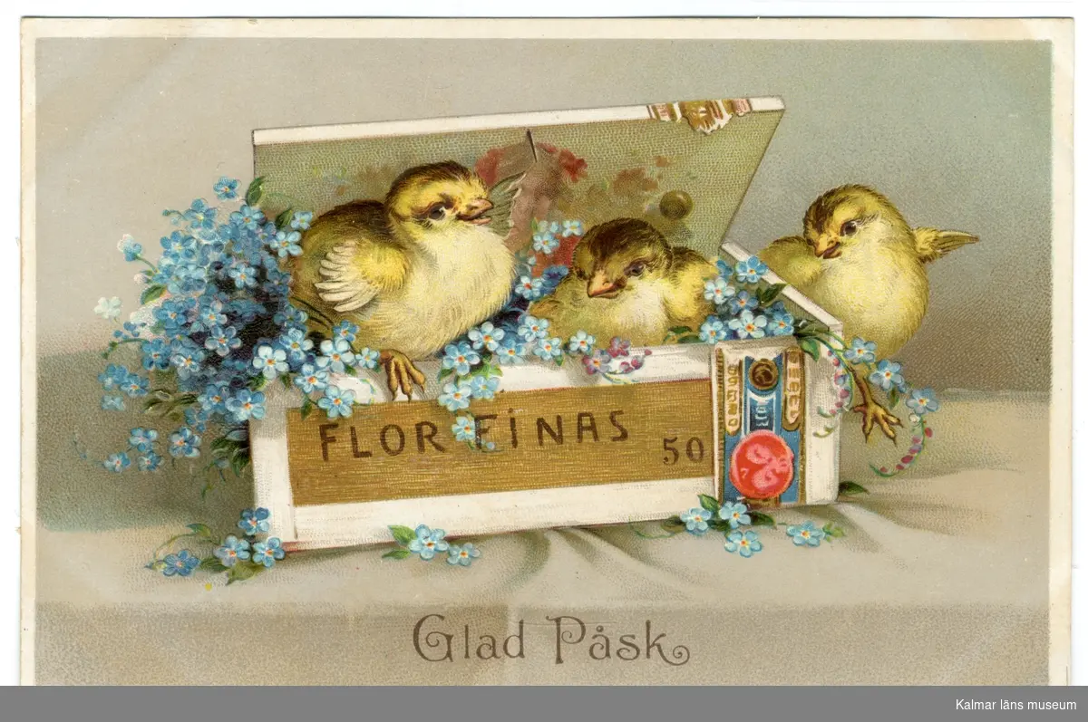 Två kycklingar sitter i en stor ask bland blå blommor. På askens framsida står det Florfinas 50. Till höger om asken står en kyckling som tittar på de andra.