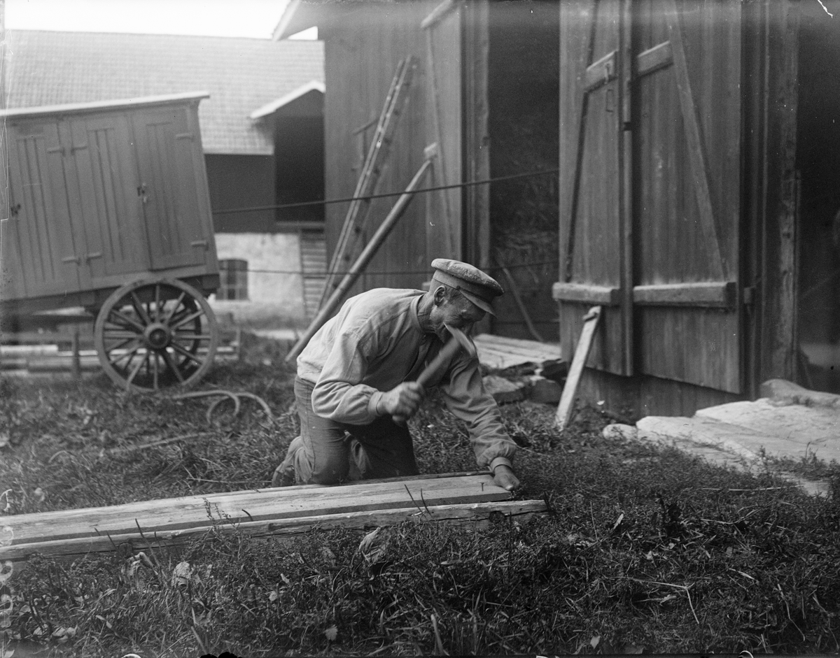 "Pappa spikar halmplanka till tröskningen", Sävasta, Altuna socken, Uppland 1921
