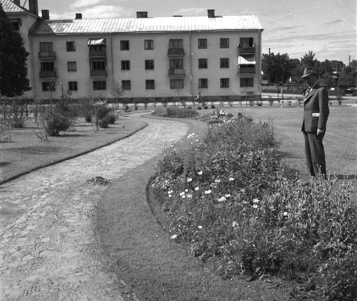 Gefle Dagblads reportage från vägbyggen och parkanläggningar. Juli 1950. Huset har adressen Brunnsgatan 49. Fotot är taget mot norr. Luthergatan korsar till höger.