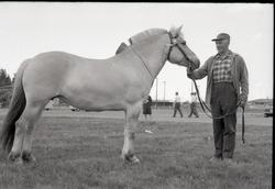 Torvald Smeland med Svana.