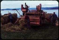 Tresking på Johnsborg.