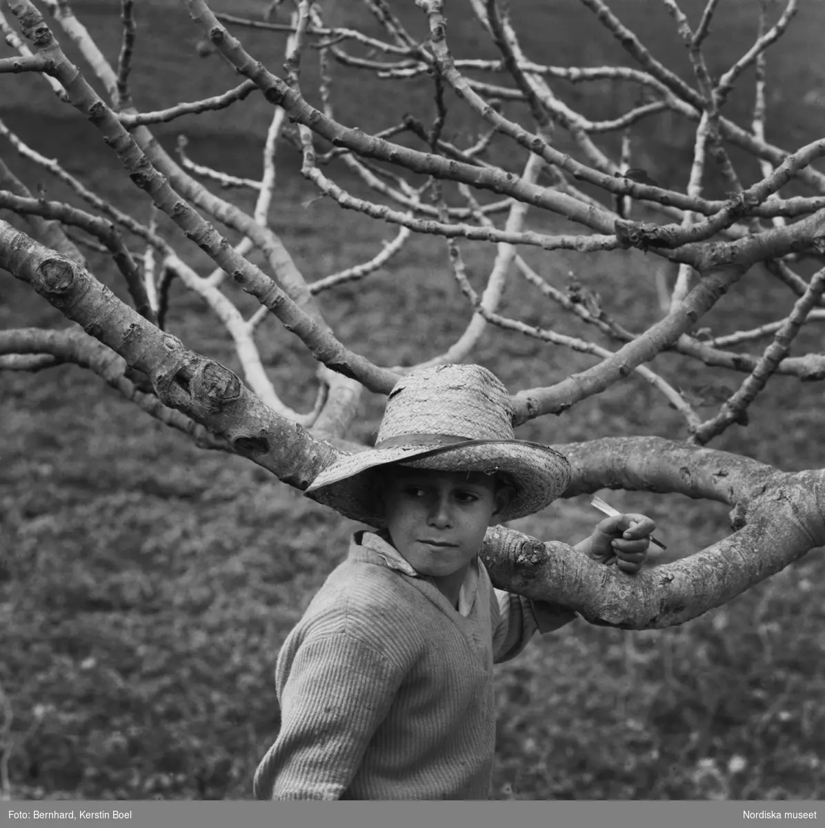 Pojke i bredbrättad stråhatt. La Gomera, Kanarieöarna, 1960