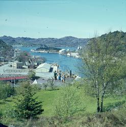 Egersund havn sett fra Kråkefjellveien