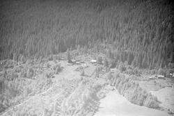 Gardsbruket Forsethvolden i Vestre Gausdal. Skog. Bygninger.