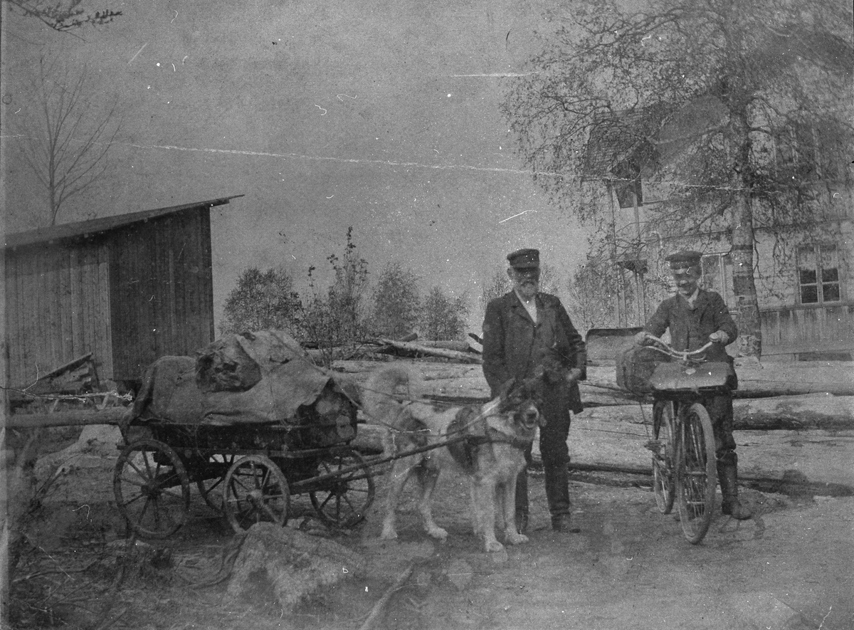 Två män, med hundkärra och cykel.