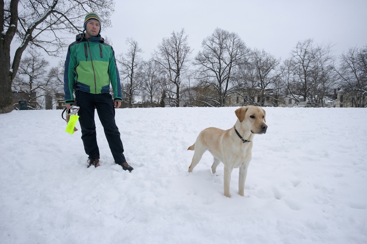 Førerhundskole. Førerhund på treningstur med førerhundtrener i området Majorstuen i Oslo.