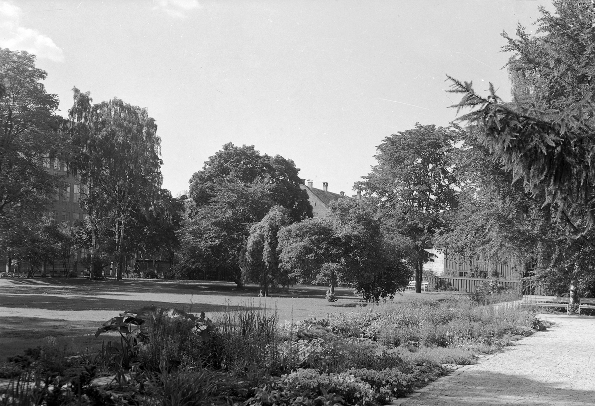 E.C. Dahls parken