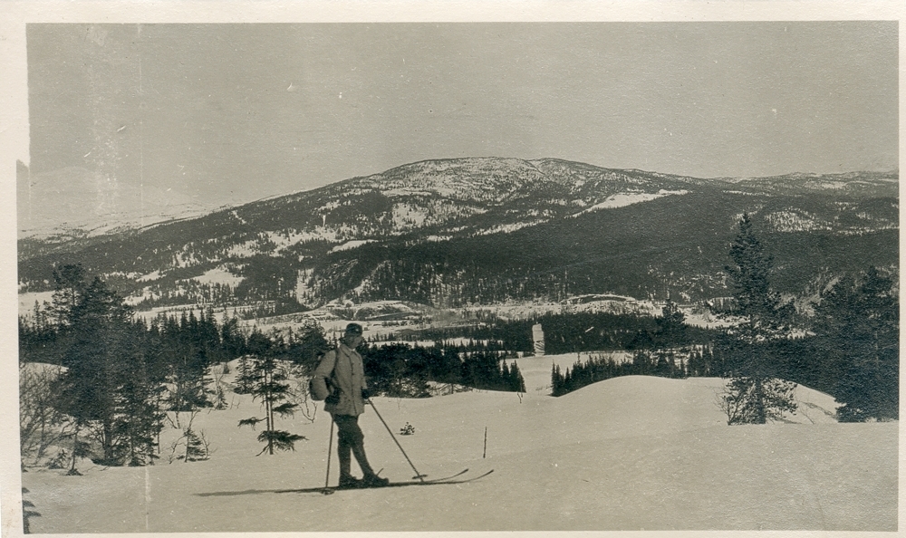 Man på ski står foran et skogkledt vinterlandskap, fjell i bakgrunnen. En kraftlinje går rett gjennom landskapet.