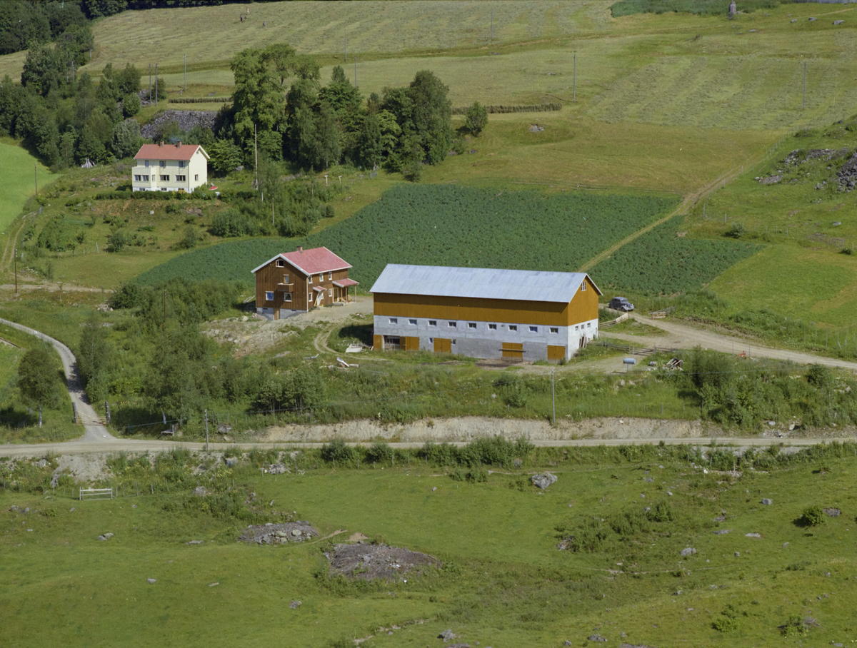 Saksumdal, Saksum gård med bygninger, kulturlandskap. Hele eiendommen kalt Nygaard