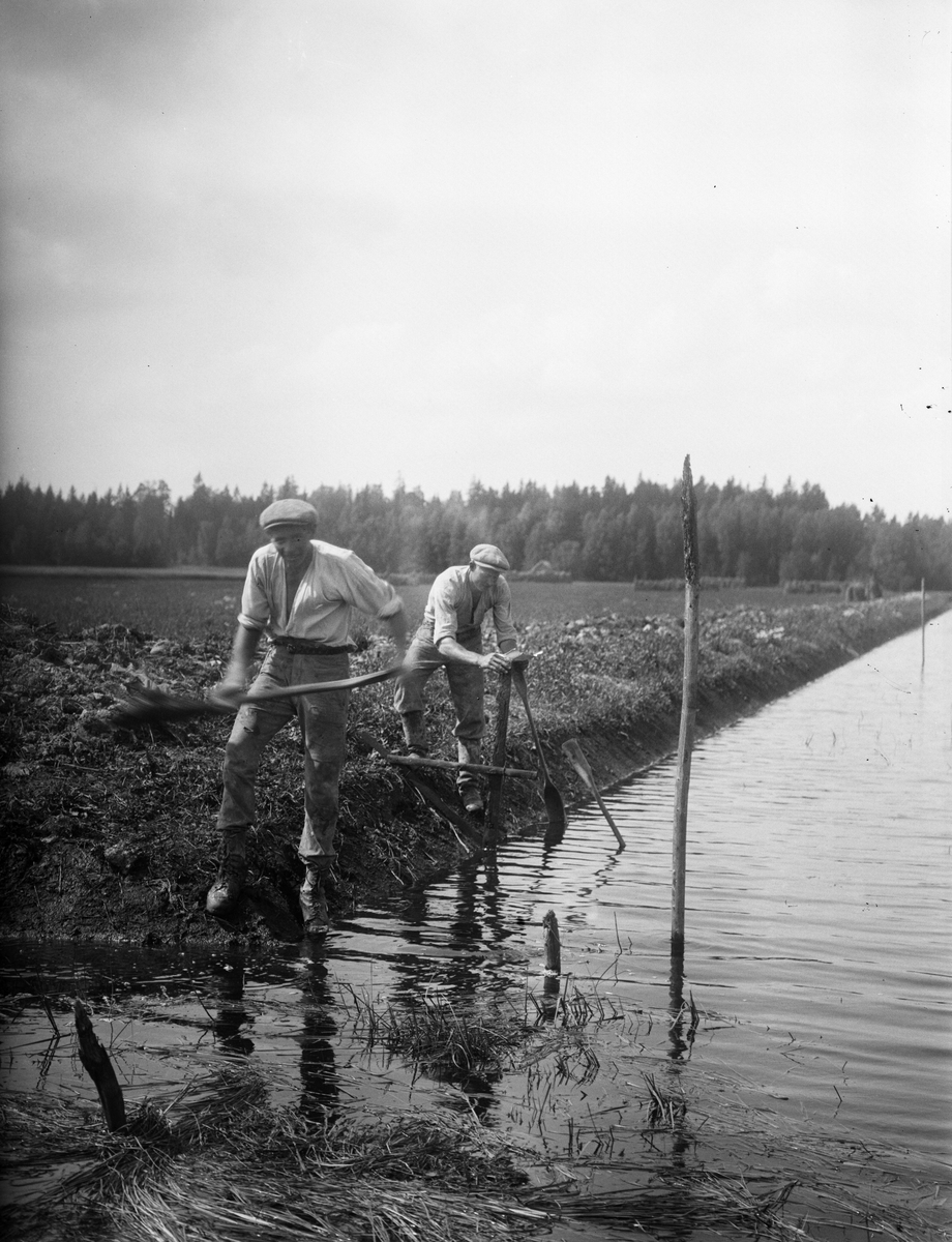 Gunnar och Ejnar Gestrin, Ravastbogrävningen, Ravastbo, Simtuna socken, Uppland 1922