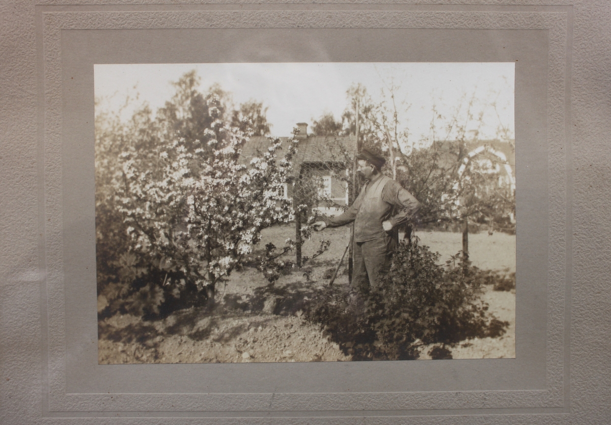 Tavla med fotografi. Bilden visar en man i trädgård. I bakgrunden finns två röda bostäder med vita knutar. 
1900-talets första hälft.