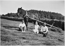 Slåttonn på Langmo, Stadsbygd
