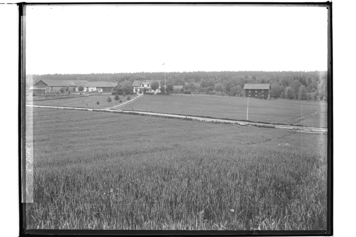 Två olika bostadshus med ekonomibyggnader. Gropens gård.

Panoramabild.