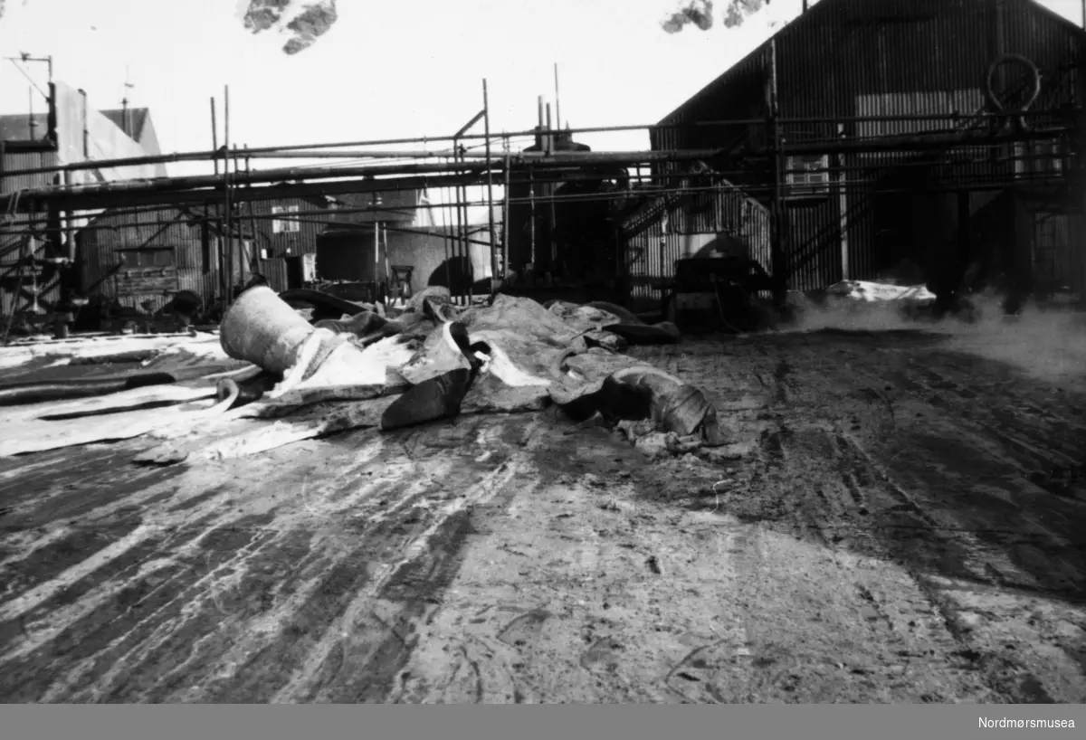 Foto fra Grytviken i Sør-Georgia, og fra en norsk hvalstasjon der, og viser restene etter slaktingen av en hval. Bildet kan dateres mellom 1959 til 1960. Fotograf er trolig Rolf Karlsen. Fra Nordmøre museums fotosamlinger.