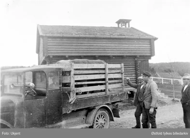 Dyretransport på Tårnby i Rømskog, 1920-30-åra. Mennene er ukjente.
Lastebilen er antakelig ca. 1925-modell (ikke Ford).