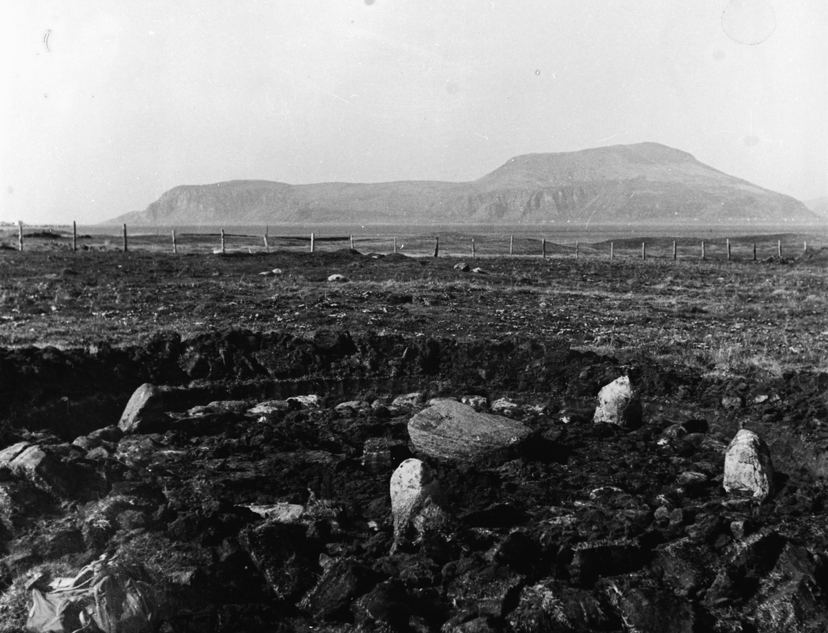 Utgraving av en steinring fra eldre jernalder på Rørvik, Vigra.