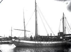 2 mastet fiskeskøyte i havn Reg. S.715T. - ni mann på dekk.