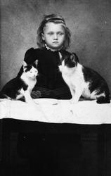 Portrett av ei jente med to kattar.