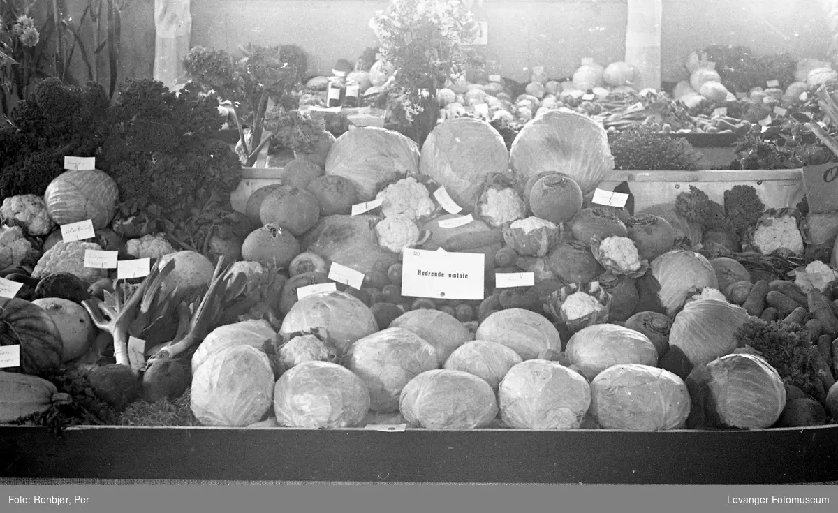 Fra utstillingen om høsten under byjubileet i 1936, grønnsaker merlet hedrende omtale.
