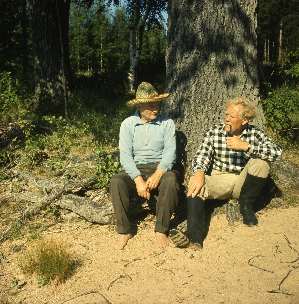 Två män sitter lutade mot en grov trädstam vid en strand. De ene mannen, författaren Albert Viksten i stråhatt, är barfota, och röker en cigarett. Den andre mannen har gummistövlar och röker pipa.