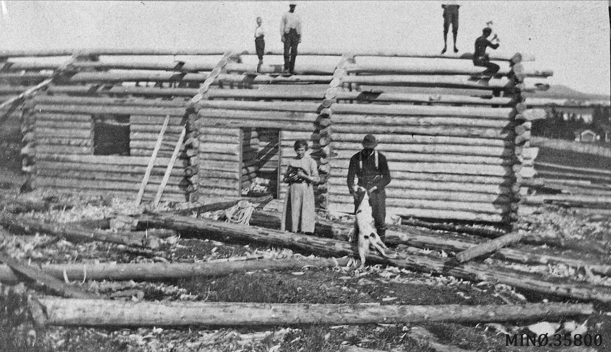 Lafting av seterstue. Karlshaugvollen 1921, bygger ny seterstue. 