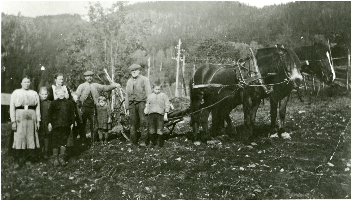 Potetgravst på Tambugarden, Øystre Bagn, ca 1920.