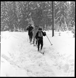 Familieskidag ved Skienhallen.