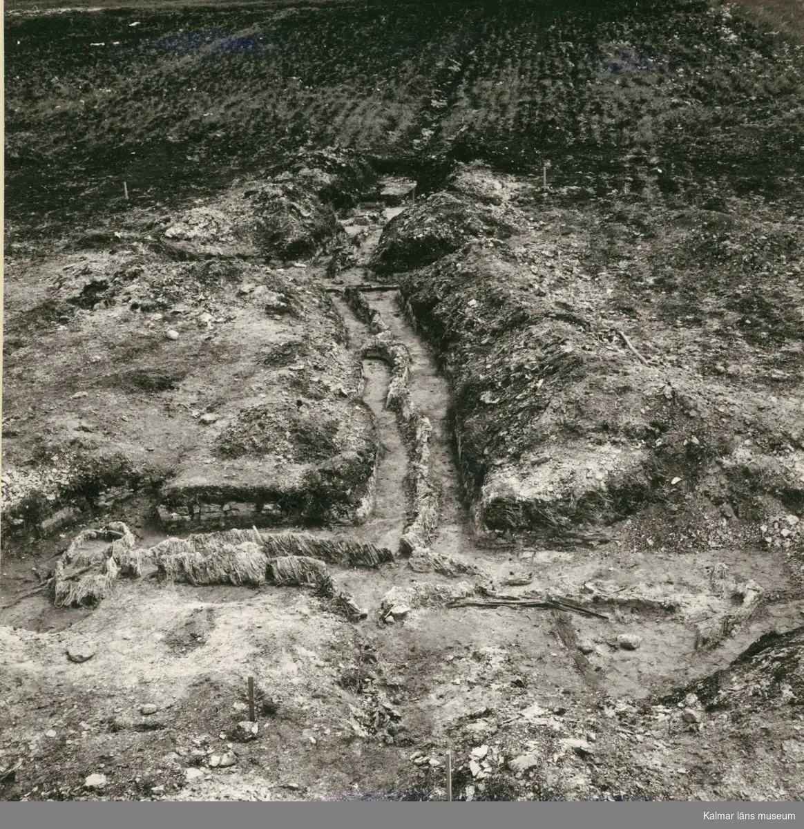 En ryssja, påträffad vid utgrävningen i Skedemosse.

Katsan (ryssjan) F 223