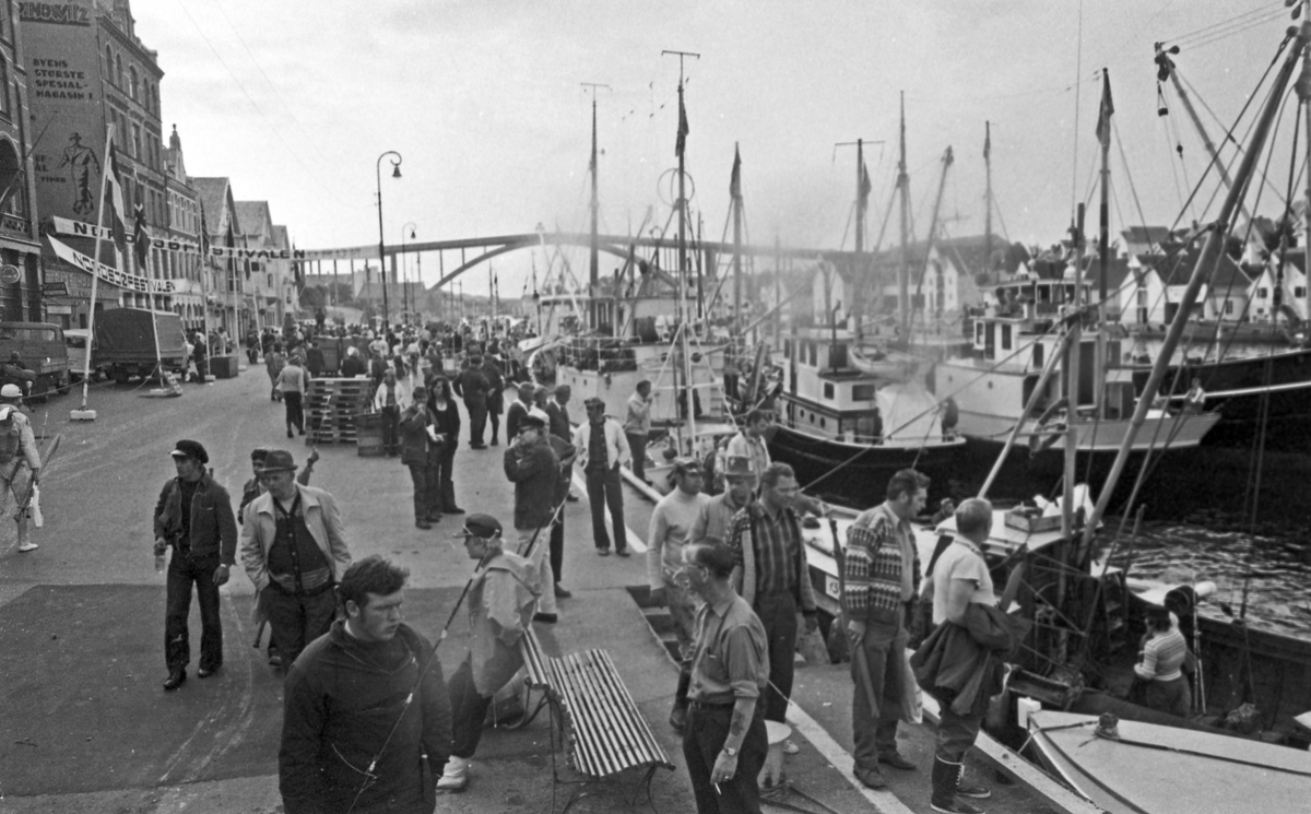 Nordsjøfestivalen i Haugesund. Deltagere og fiskebåter ved kaien. Veiing og måling av fisk.