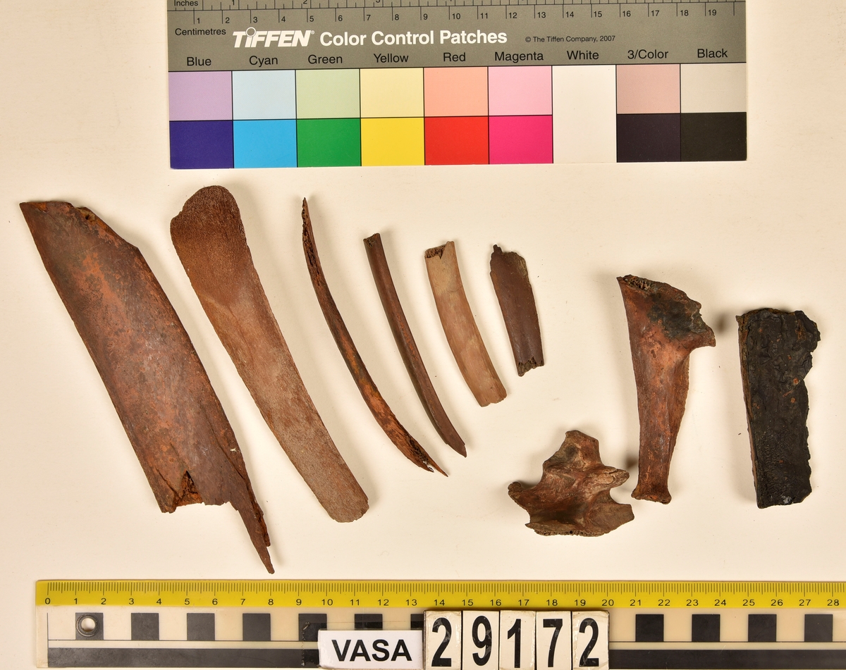 Ben från djur. Ej artbestämda.
6 st. delar av revben (costae).
2 st. delar av kotor (vertebrae).
1 st. fragment av rörben.