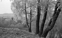 Fra Lillemarksbakkene mot sykehuset