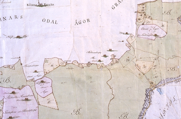 Karta över Kronoparken 1787. Detalj.