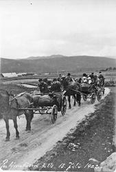 Bryllup, personer, hester og vogner