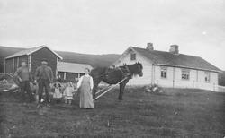 Personer, hest, plog, gårdsbruk.