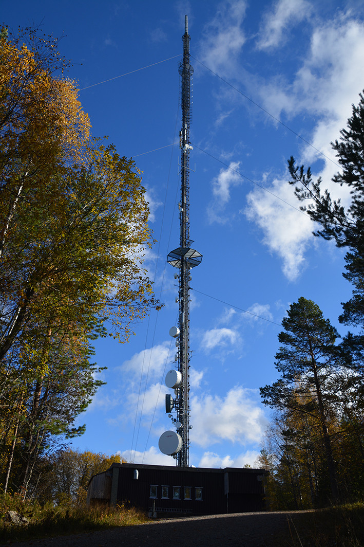 Holtberget bardunert gittermast i Kongsvinger, en  frekvensomformer på 162,5 m.