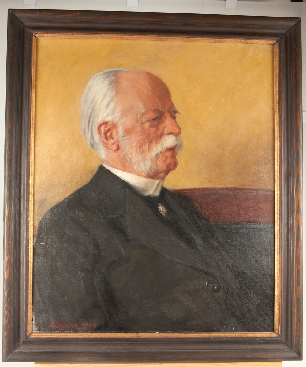 Professor Herman Ludvig Rydin målad i profil. Han bär svart bonjour. Sitter i soffa mot gul vägg.