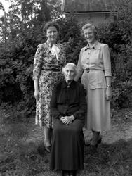 Marit Hanem, Borghild Hanem og Nikoline Hanem. Fra Nordmøre 