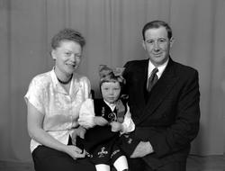 Fra Nordmøre museums fotosamlinger, Halås-arkivet.